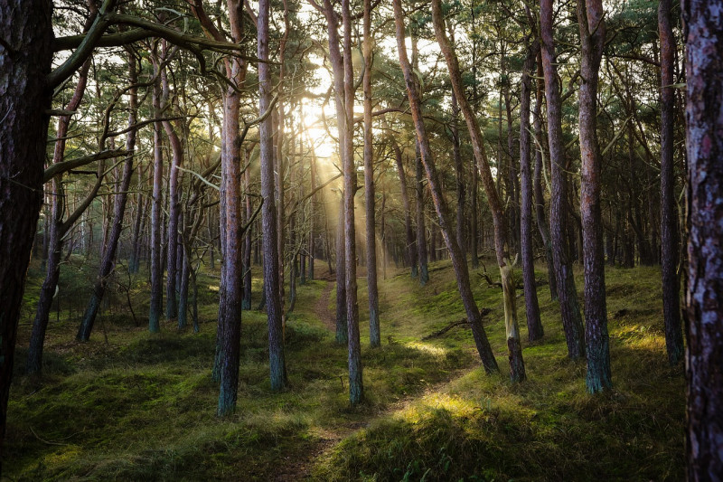 Vrouwenwandeling Posbank
