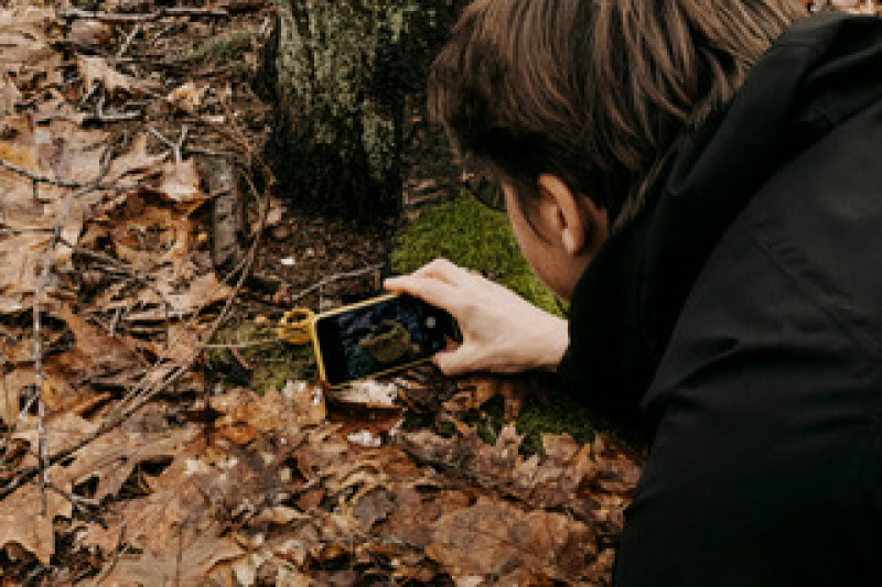 Mindful fotograferen : deel 1 herfst 