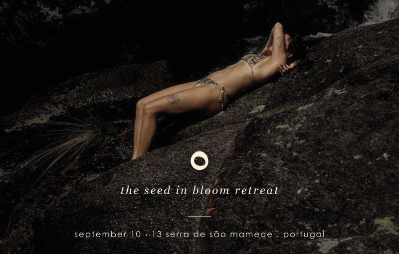 The seed in bloom retreat - Meerdaagse retraites, Yoga, Creativiteit