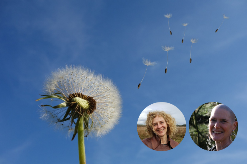 The Magic of Breath - Ademcirkel
