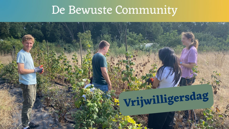 Vrijwilligersdag De Bewuste Community (gratis)