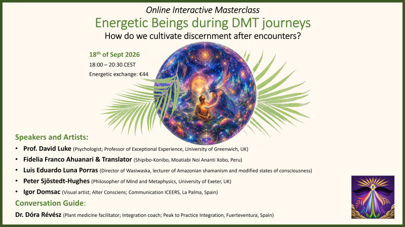 Online Interactive Masterclass: Energetic Beings during DMT journeys