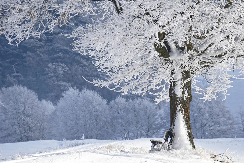Yin Yoga & Yoga Nidra - zondag 22 november