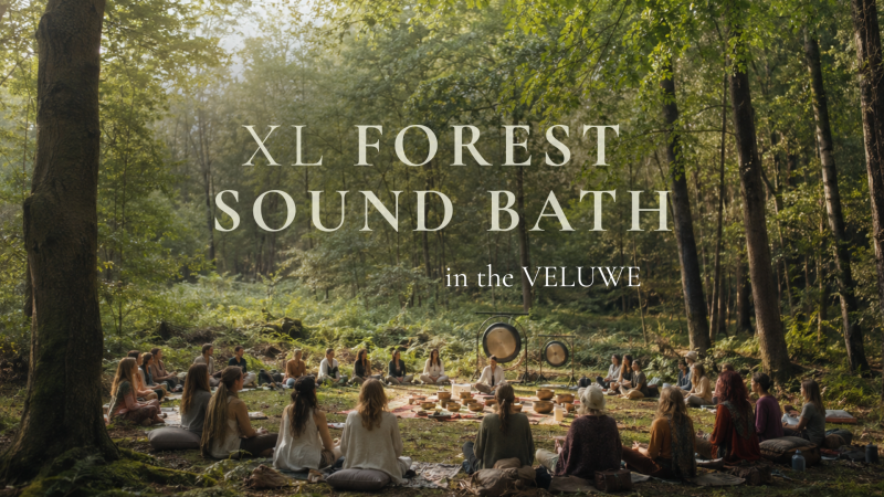 XL Forest Sound Bath in de VELUWE | Gongs, Handpan, Bowls & more