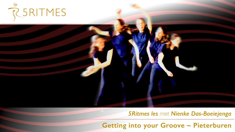 'Getting into your Groove' in Pieterburen