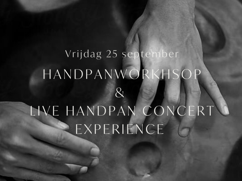 Handpanworkshop en / of Handpanconcert