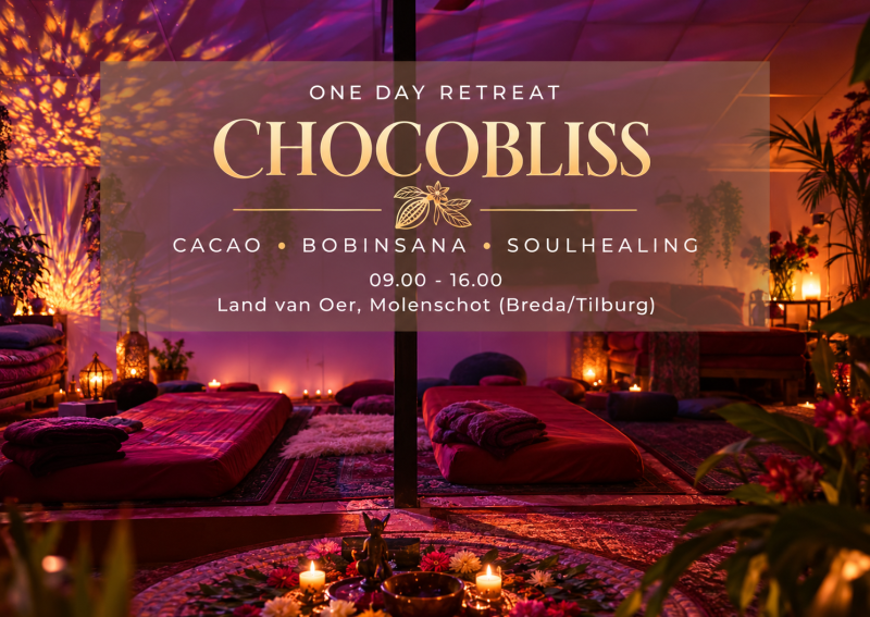 SACRED CHOCOBLISS & BOBINSANA