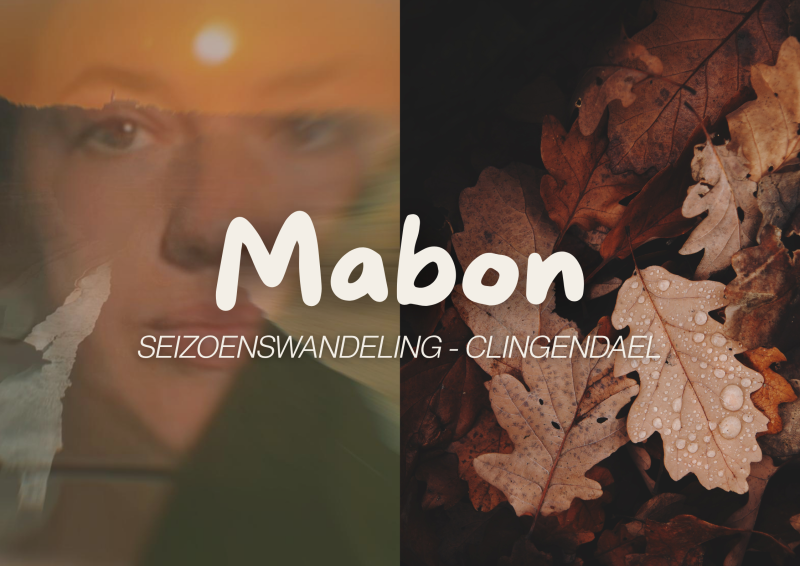Mabon Seizoenswandeling | 25 september - Natuur, Keltische Jaarfeesten, Wandelen