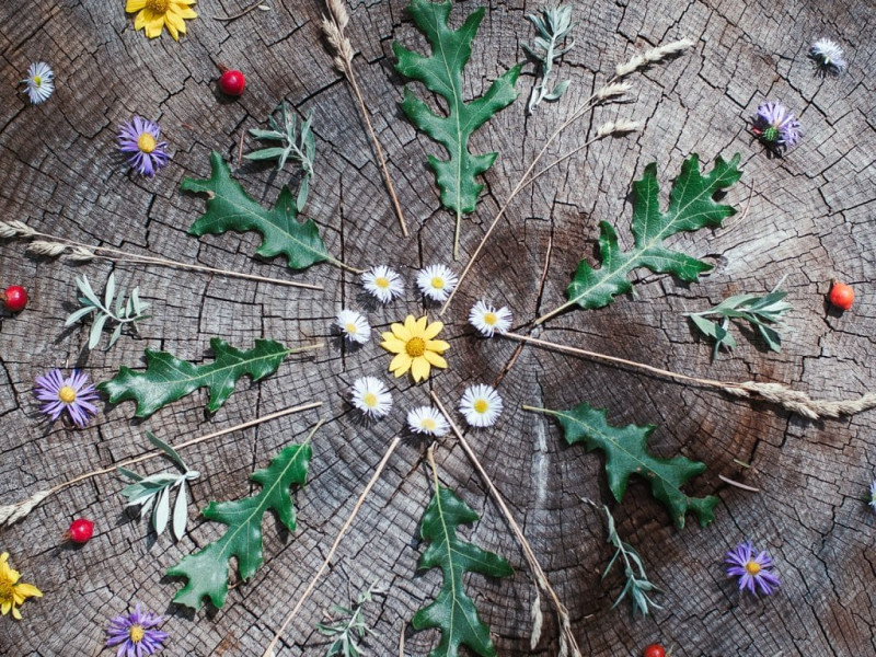 Yoga & Nature: a Parent & Child Workshop
