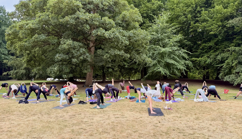 Donation-based Yoga at Het Park Rotterdam