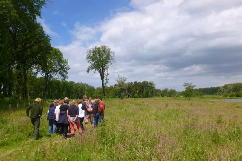 Kruiden wandeling Bosthee