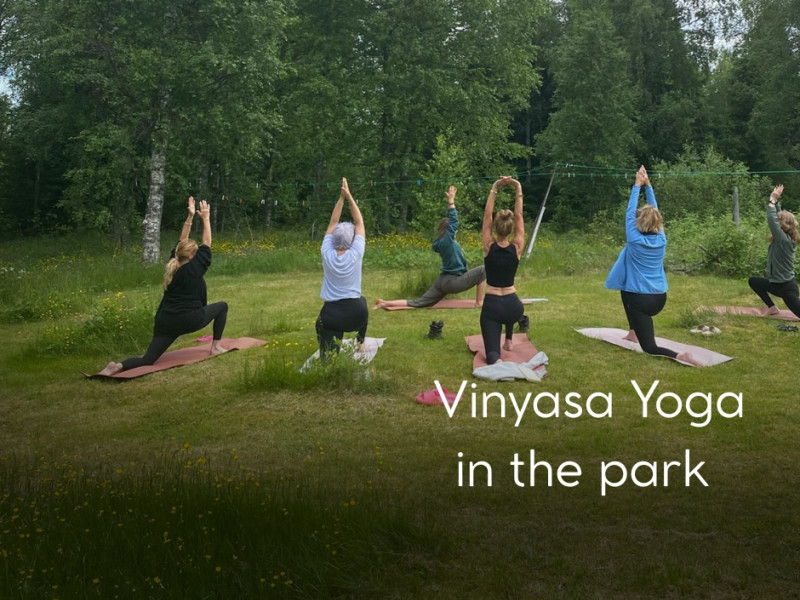 Vinyasa Yoga In The Park