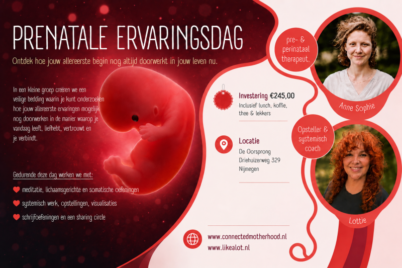 Prenatale Ervaringsdag