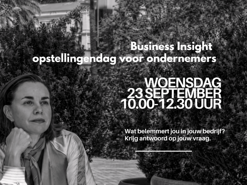 Business Insight - opstellingendag  voor ondernemers 