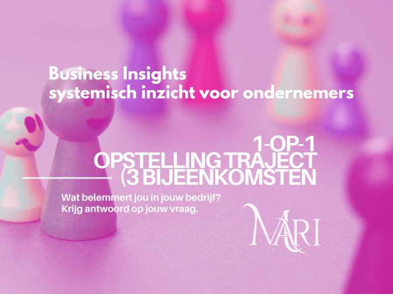 Business Insight - 1 op 1 traject (3 bijeenkomsten