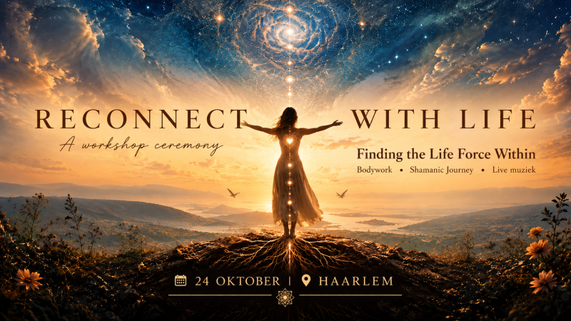 Reconnect with life