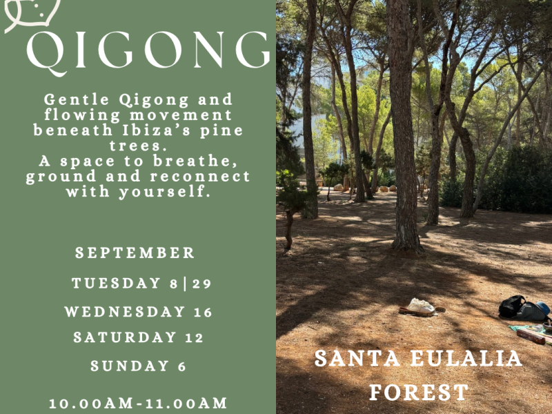 Qigong In The Forest