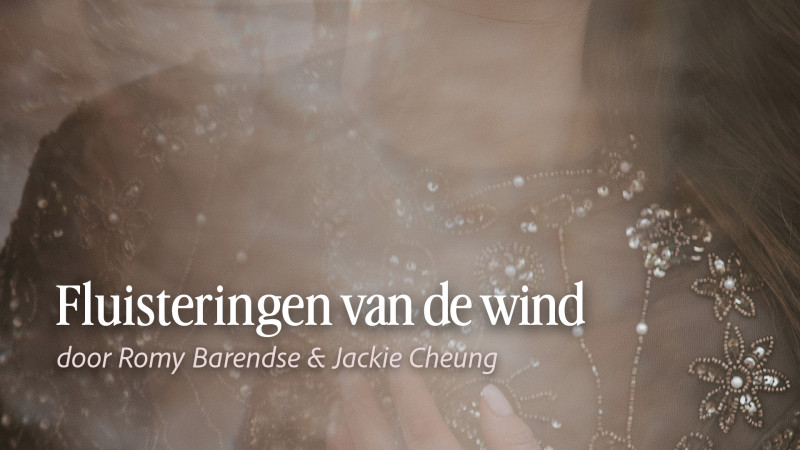 Fluisteringen van de wind - demonstratie Mediumschap