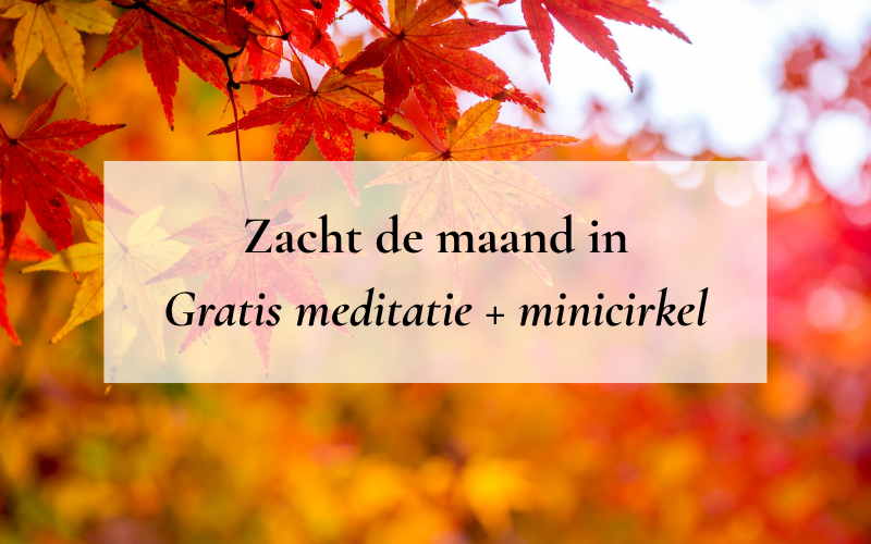 Zacht de maand in - Maandelijkse gratis online meditatie & minicirkel