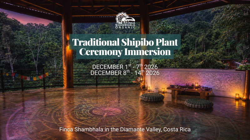 Shipibo Plant Medicine Retreat in Costa Rica | 2 week immersion