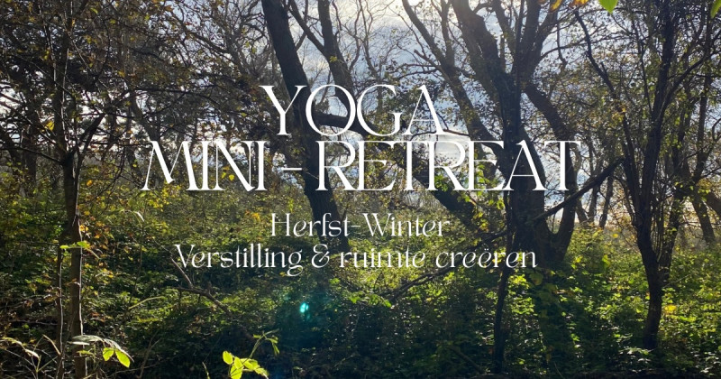 Herfst-Winter Yoga mini-retreat 🧘 verstilling & ruimte creëren