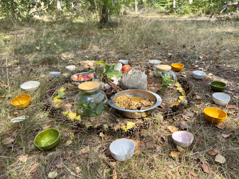 Herfstbosbad - Shinrin Yoku  - Bosbad - Shinrin Yoku, Ontspanning, Mini retraite in de natuur