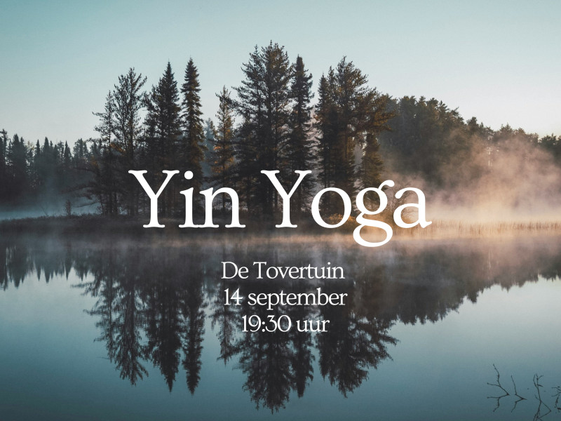 Verbinding & Vertraging: Yin Yoga in De Tovertuin