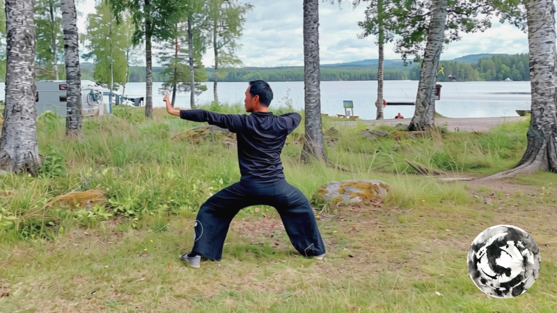 Move Your Inner Body: Taoistische Qigong & Daoyin Oefeningen - Qi Gong, Conciencia corporal, Meditación