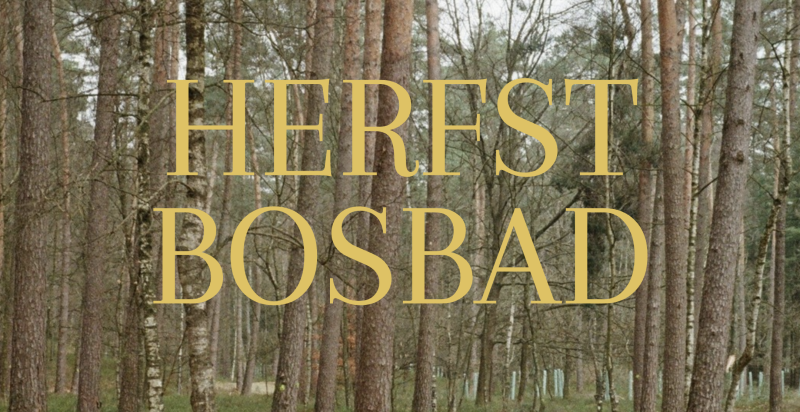 Herfst Bosbad om te vertragen, verstillen en verwonderen 