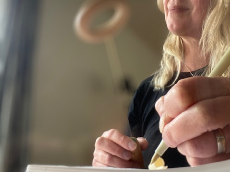 Opleiding NEI Practitioner- de basis