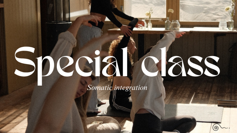 SPECIAL CLASS - somi xl & ontbijt