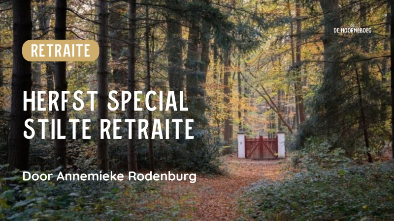 Herfst special: Stilte weekend retraite