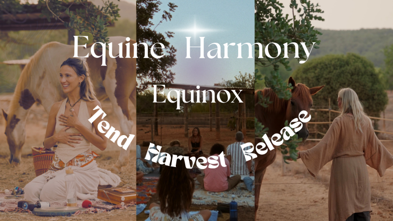 Sound Journey with Horses an Equinox Offering
