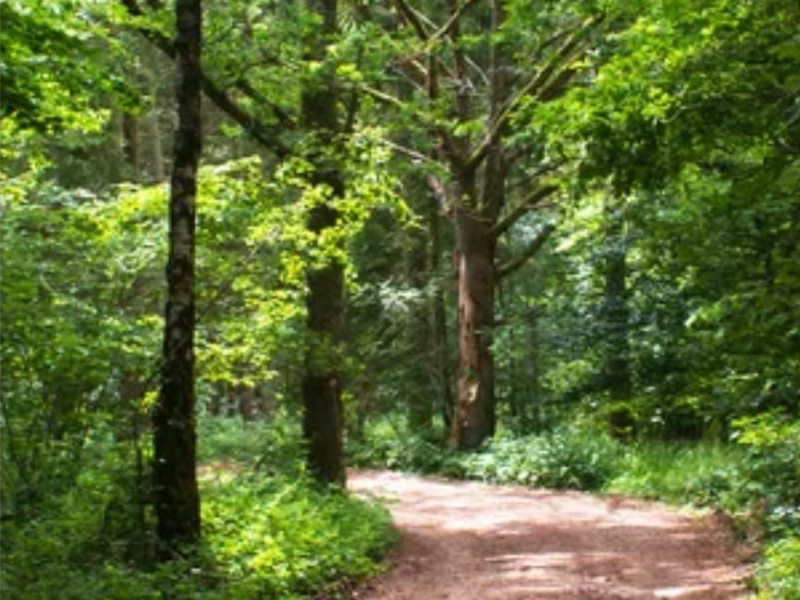 Adempauze – A 5-Day Stay in de Ardennen