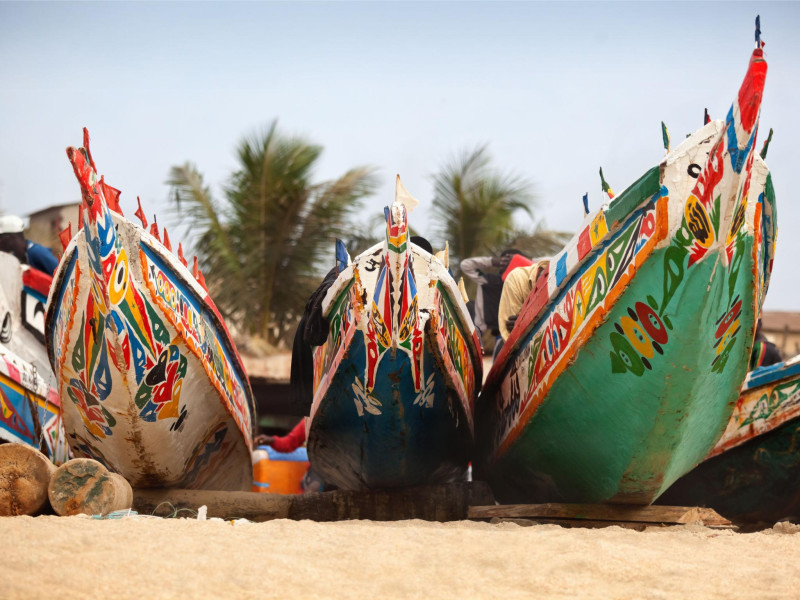 Gambia Experience