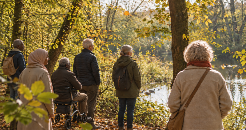 Friday Forest Club 🦉 Autumn in De Esch – Forest bathing after work