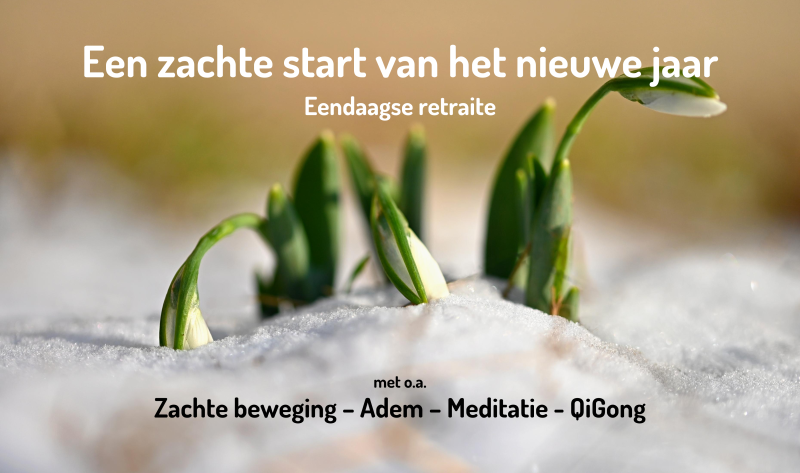 Eendaagse retraite in Best: Een zachte start van het nieuwe jaar