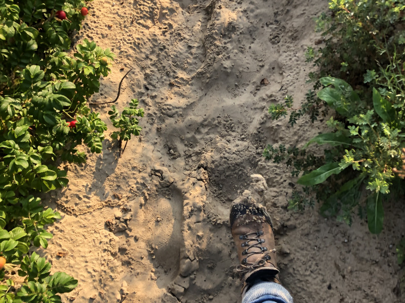 Wandelmeditatie - Meditatie, Natuur, Wandelen