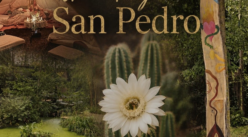 San Pedro Deep Healing Retreat okt 26