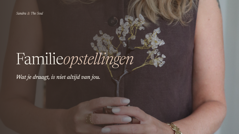 Opstellingenmiddag