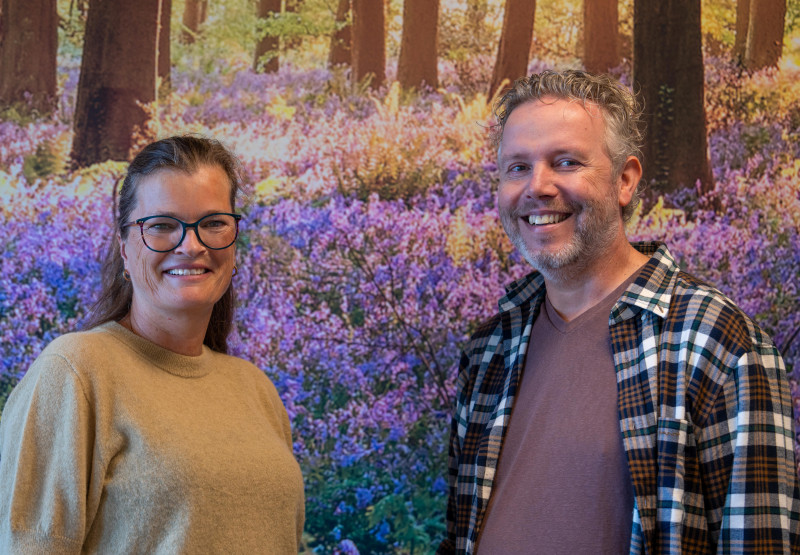 Workshop Familieopstellingen - Family Constellations, Systemic Work, Family System