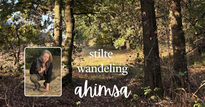 Stiltewandeling