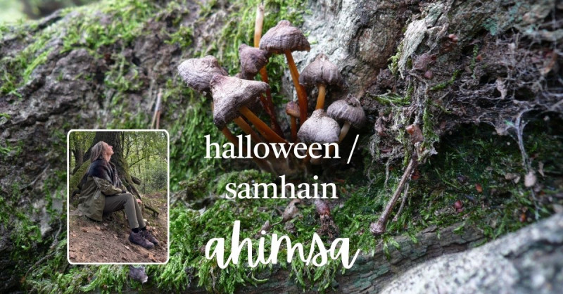 Halloween / Samhain