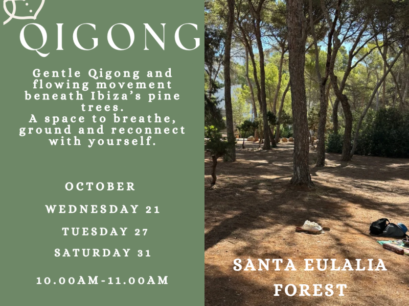 Qigong In The Forest
