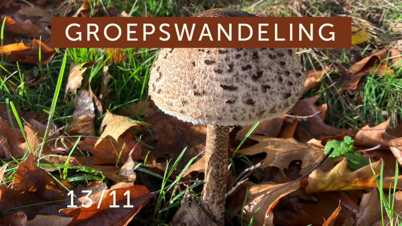 Groepswandeling