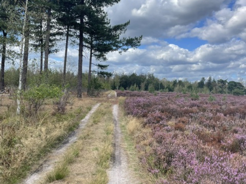 Flow wandeling