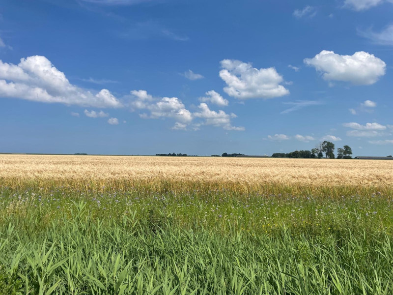Van positioneren naar waarnemen