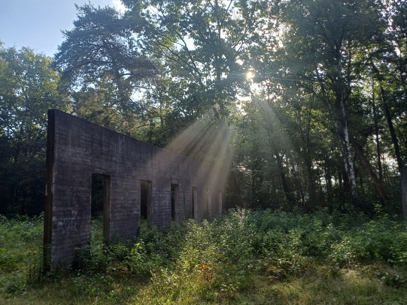 Winter Bosbad Gorsselse Heide