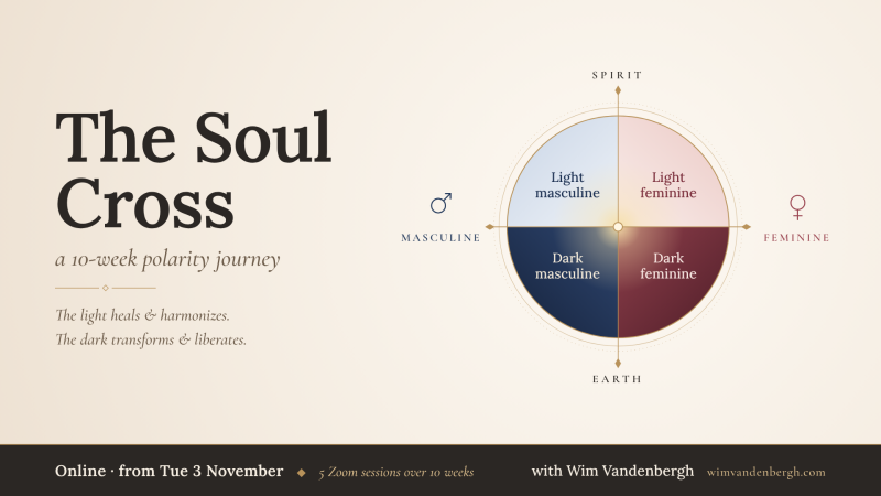 🌀The Soul Cross: a 10-week polarity journey 🌀