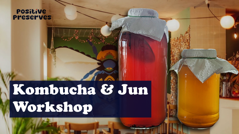 Make your own Kombucha and Jun